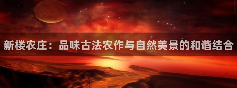 天辰娱乐-18113