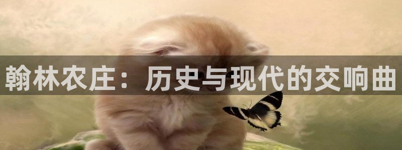 天辰娱乐2