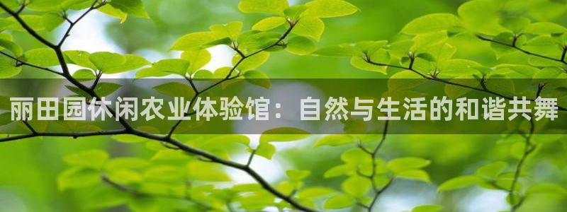 天辰娱乐文化