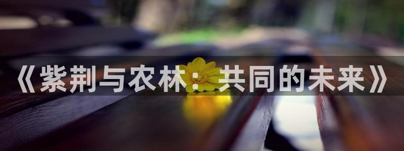 天辰娱乐黑人