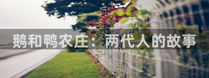 天辰国际娱乐