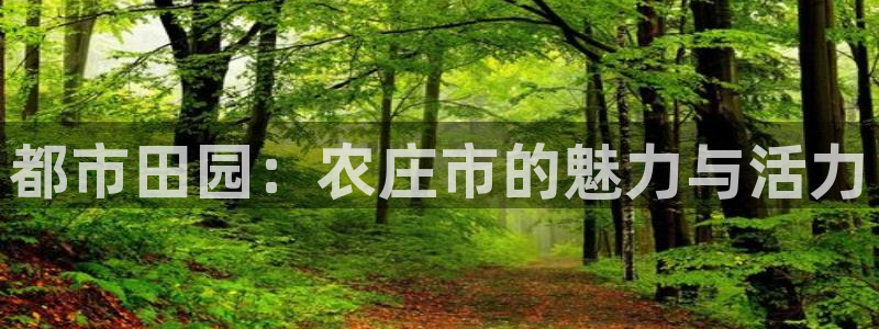 天辰娱乐-18113