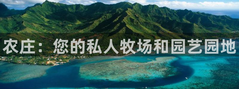 天辰娱乐老板