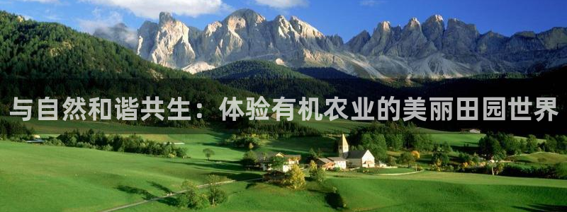 天辰娱乐在哪