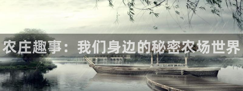 天辰娱乐内部