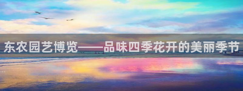 天辰娱乐解封