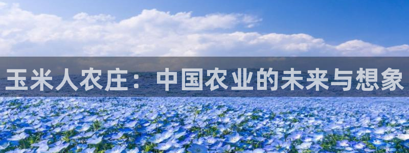 天辰娱乐平台安全吗