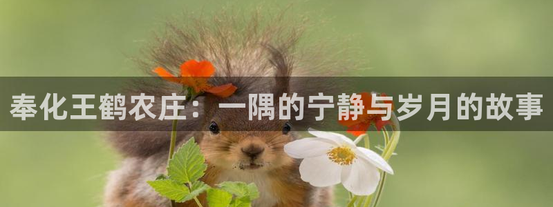 天辰娱乐ttf