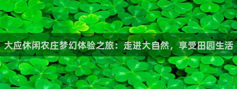 天辰娱乐国际