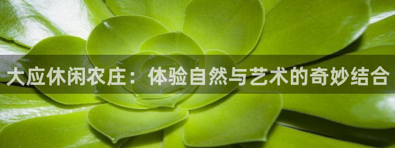 天辰娱乐下载链接