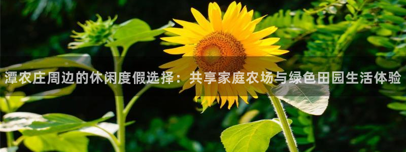 天辰娱乐输了
