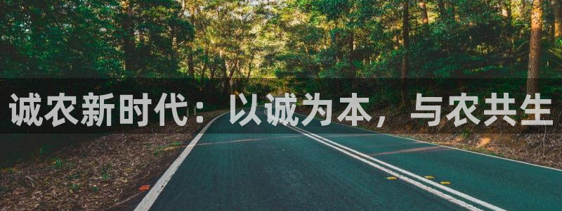 天辰娱乐分红