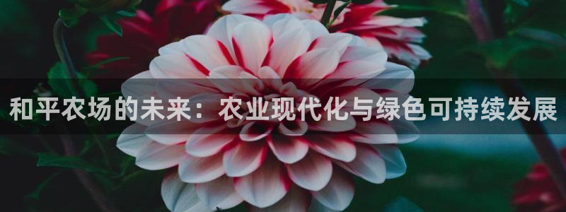 天辰娱乐会所