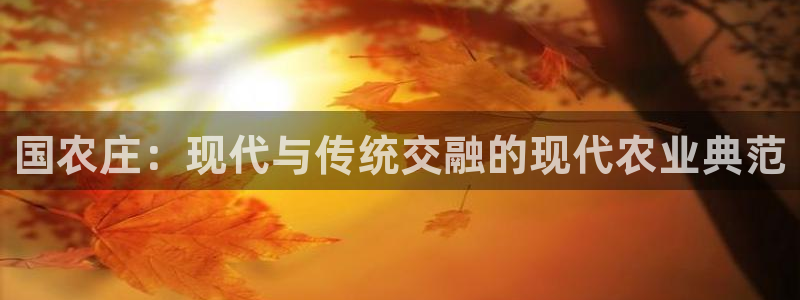 天辰说娱乐