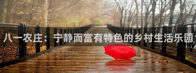 天辰娱乐黑人