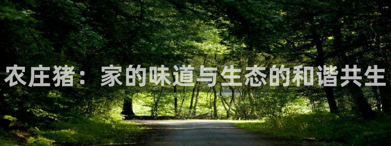 天辰娱乐电话