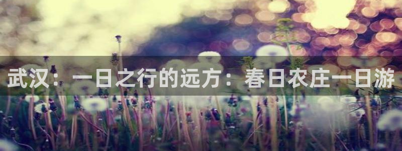 哈尔滨天辰娱乐