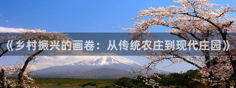 天辰娱乐官方网