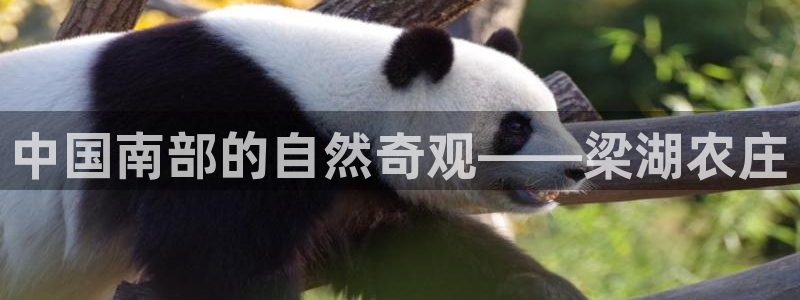 天辰娱乐平台地址
