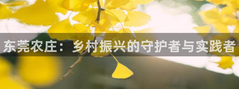 天辰娱乐平台登录账号