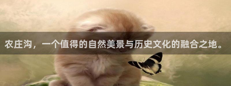 天辰娱乐游戏平台怎么样