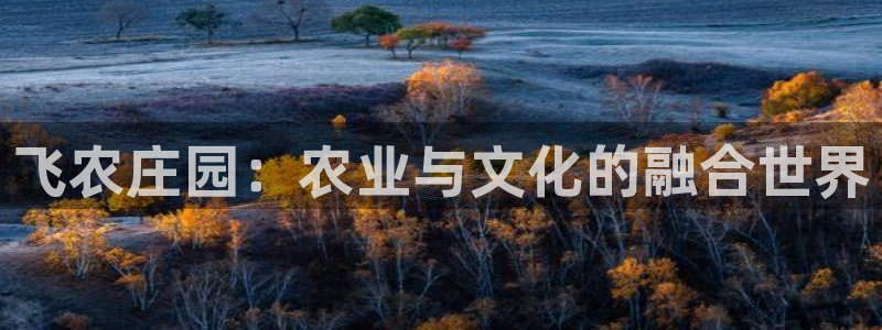 天辰娱乐登陆平台