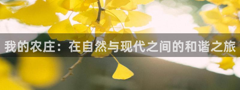 天辰娱乐官方登录入口